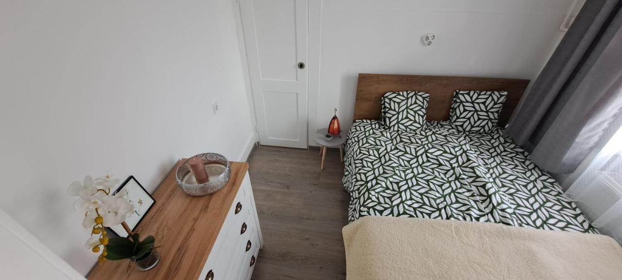 דירות סגד Napraforgo Apartman מראה חיצוני תמונה